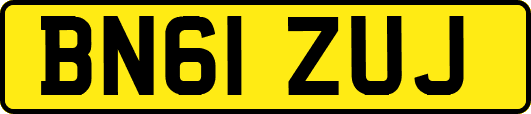 BN61ZUJ