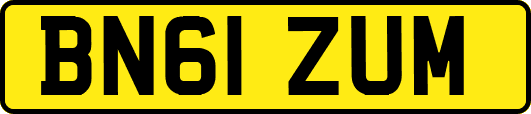 BN61ZUM