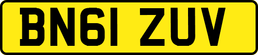 BN61ZUV