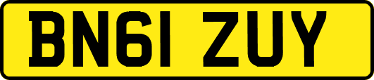 BN61ZUY