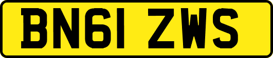BN61ZWS