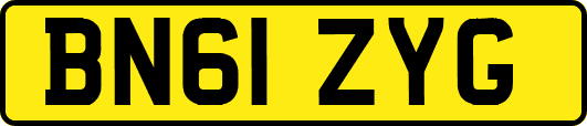BN61ZYG