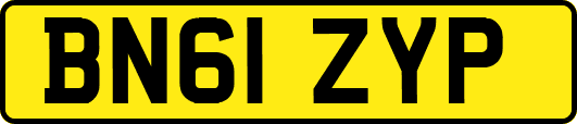 BN61ZYP