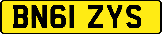 BN61ZYS