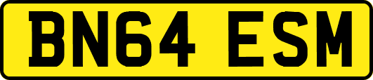 BN64ESM