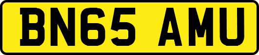 BN65AMU