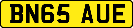 BN65AUE