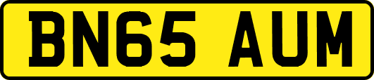 BN65AUM