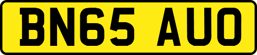 BN65AUO