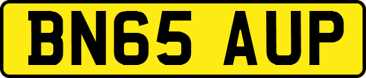 BN65AUP