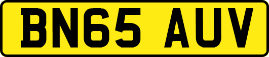 BN65AUV