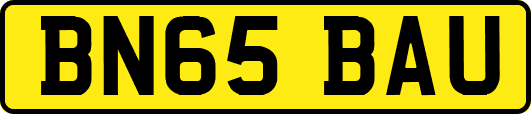 BN65BAU