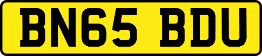 BN65BDU