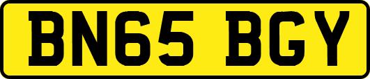 BN65BGY