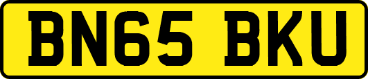 BN65BKU