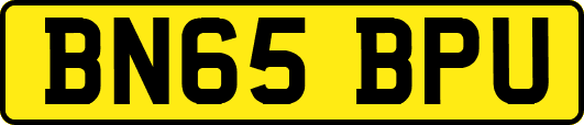 BN65BPU