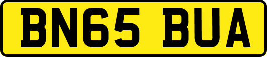 BN65BUA