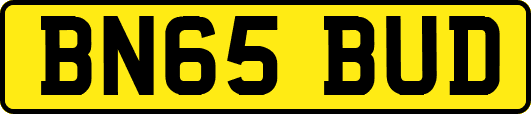 BN65BUD