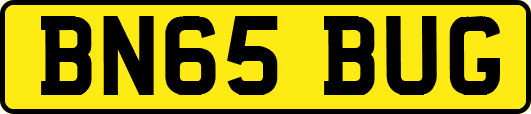 BN65BUG