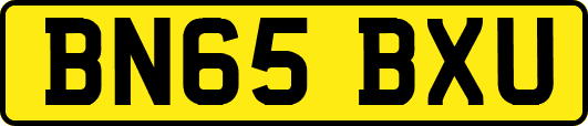 BN65BXU