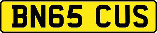 BN65CUS