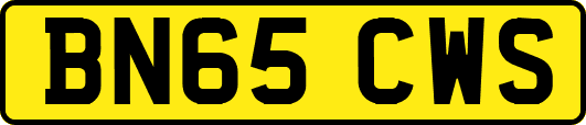 BN65CWS