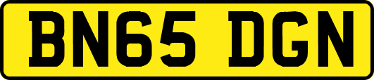 BN65DGN