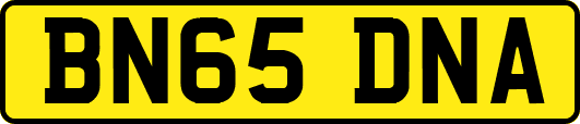 BN65DNA