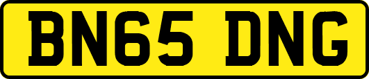 BN65DNG
