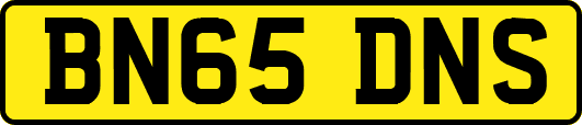 BN65DNS