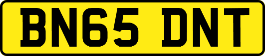 BN65DNT