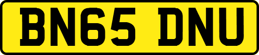 BN65DNU