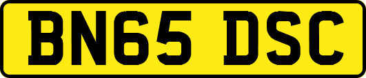 BN65DSC