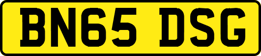 BN65DSG