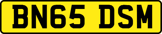 BN65DSM