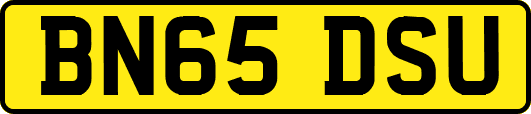 BN65DSU