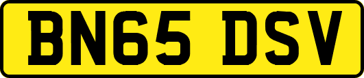 BN65DSV