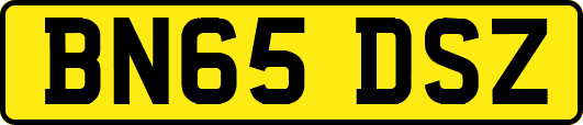 BN65DSZ
