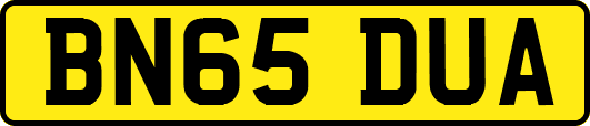 BN65DUA