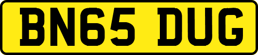 BN65DUG