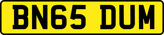 BN65DUM