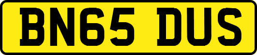 BN65DUS