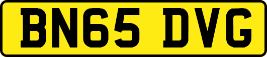 BN65DVG