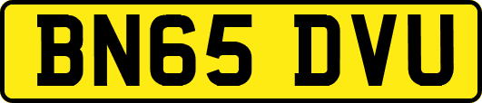 BN65DVU