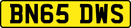BN65DWS