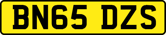 BN65DZS