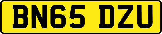 BN65DZU