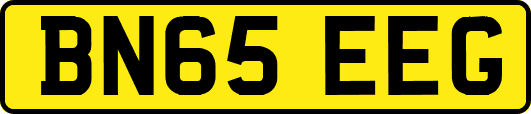 BN65EEG