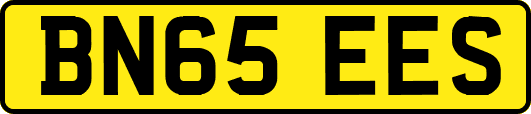 BN65EES