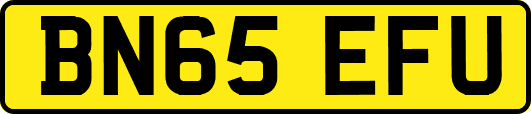 BN65EFU
